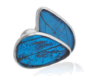 Aymara Blue Dream Butterfly Cufflinks