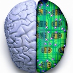 The Human Brain on Technology